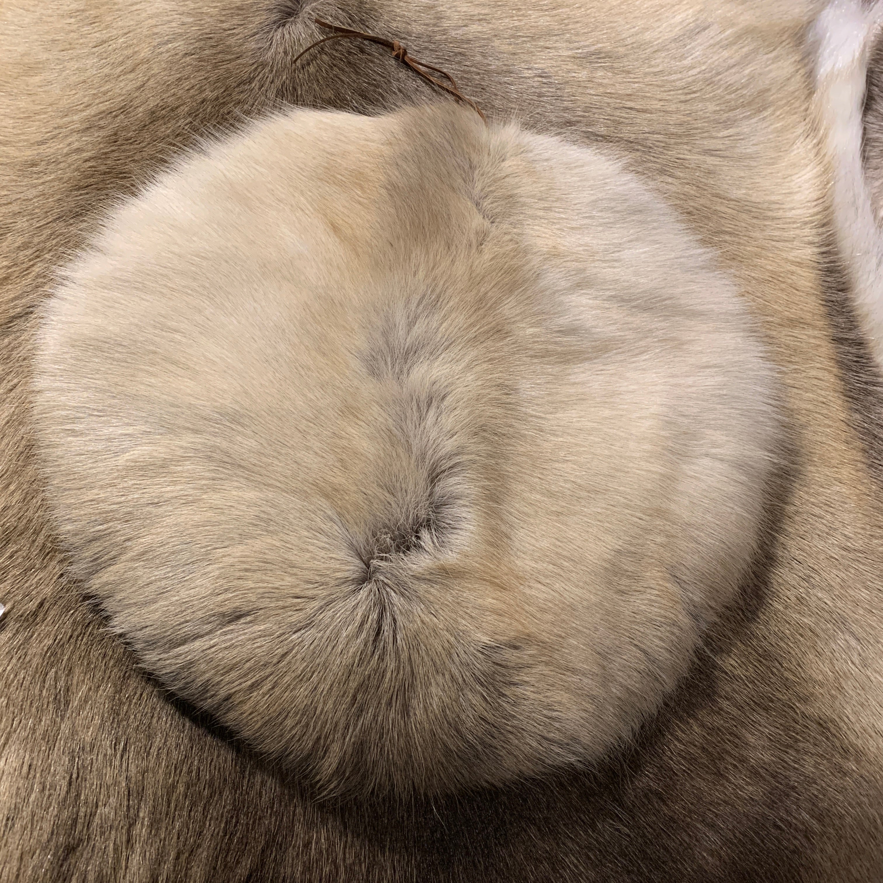 Sittlappar i garvat och tvättat renskinn. Runda i formen diameter på undersidan 33 cm. En läderrem sitter som upphängningsanordning. Risfjells Sameslöjd i Vilhelmina. 